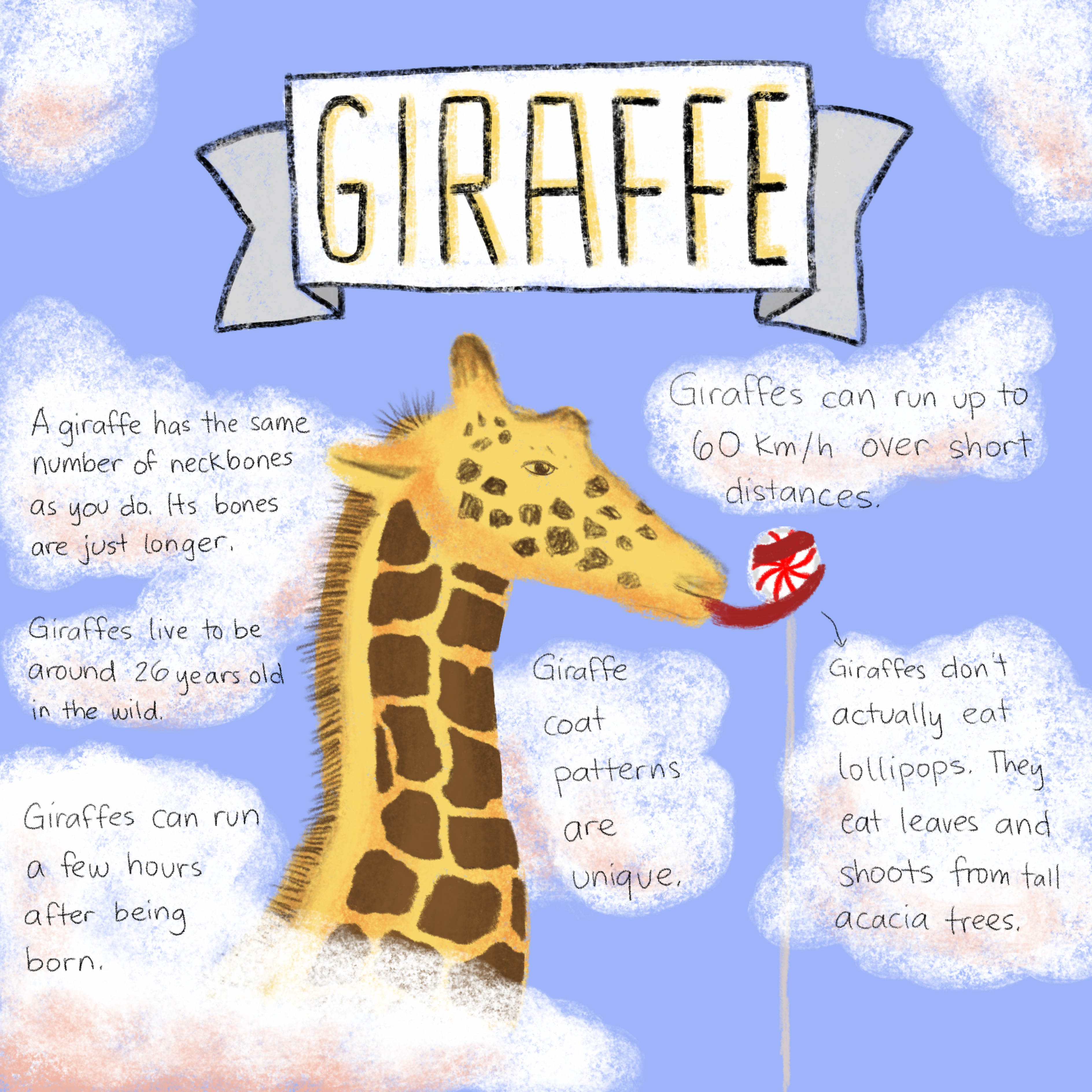 2025-02-17-04 Giraffe -- drawing SimplyDraw.jpg